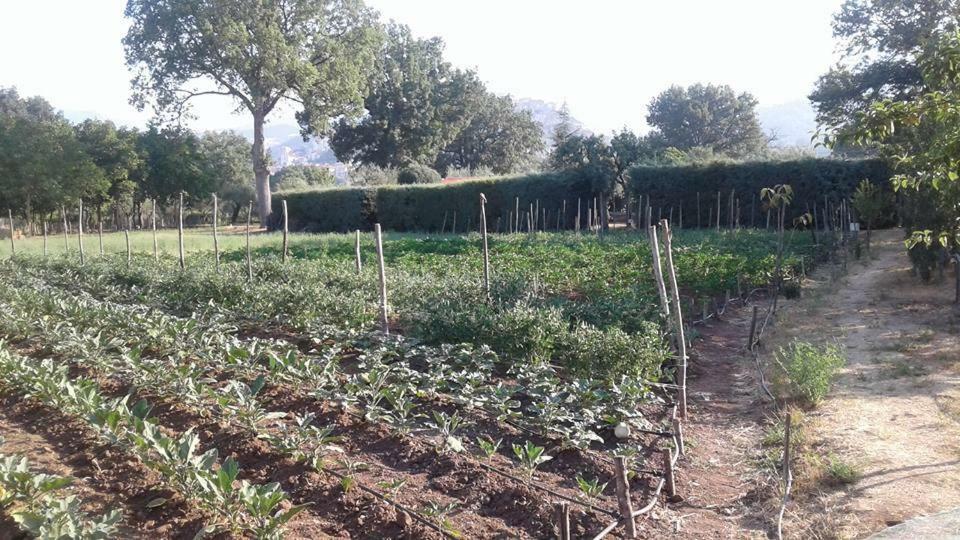 فيلا Agriturismo Tre Santi بادولا المظهر الخارجي الصورة