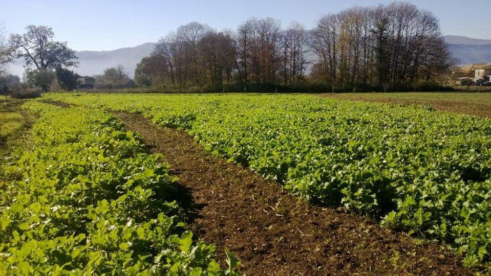 فيلا Agriturismo Tre Santi بادولا المظهر الخارجي الصورة