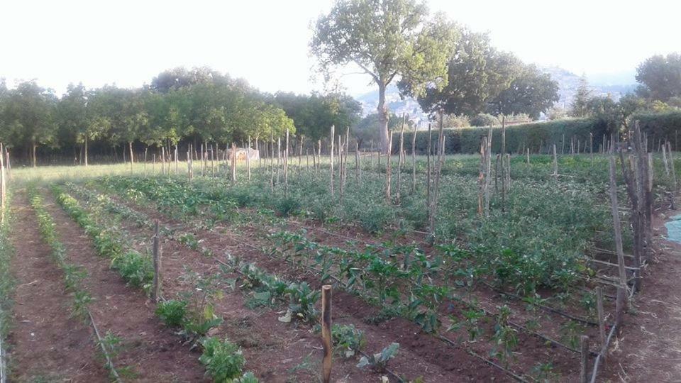 فيلا Agriturismo Tre Santi بادولا المظهر الخارجي الصورة